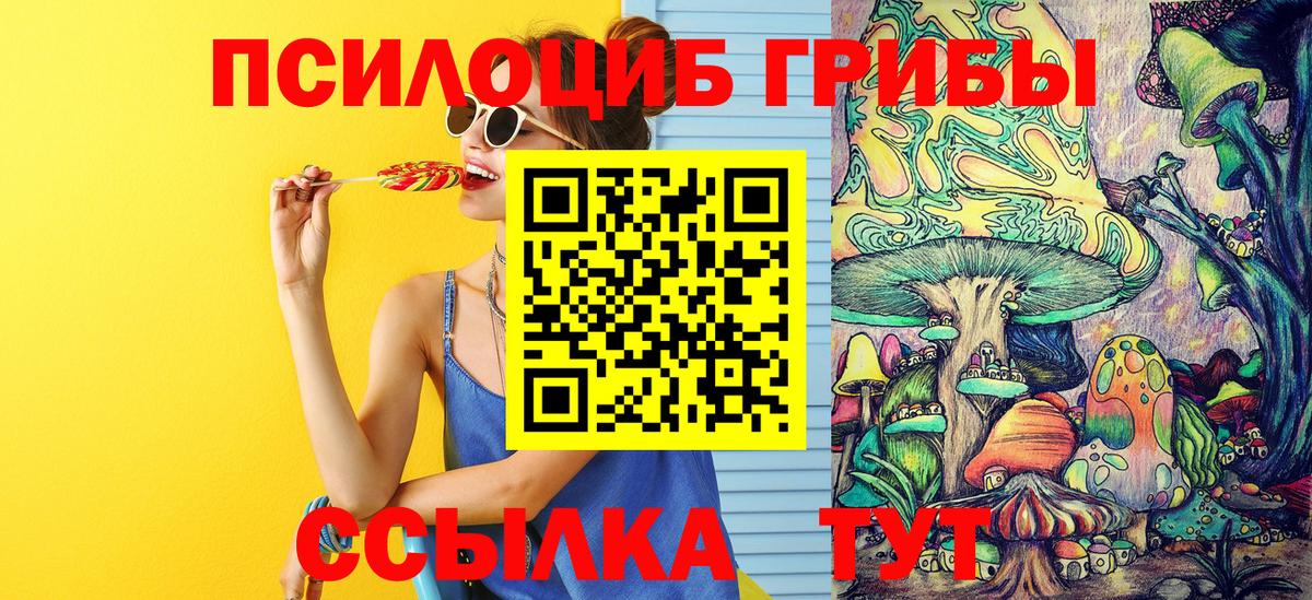 закладка  Псилоцибиновые грибы прущие грибы  Вход с VPN  Сунжа  Псилоцибиновые грибы Psilocybe 